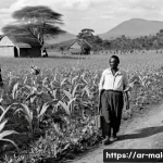 말라위 독립 과정 - **Prompt for an image depicting the early resistance against colonial rule:**
    "A powerful, histo...